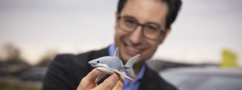 Zakaj so morski psi pri Oplu ikonični?