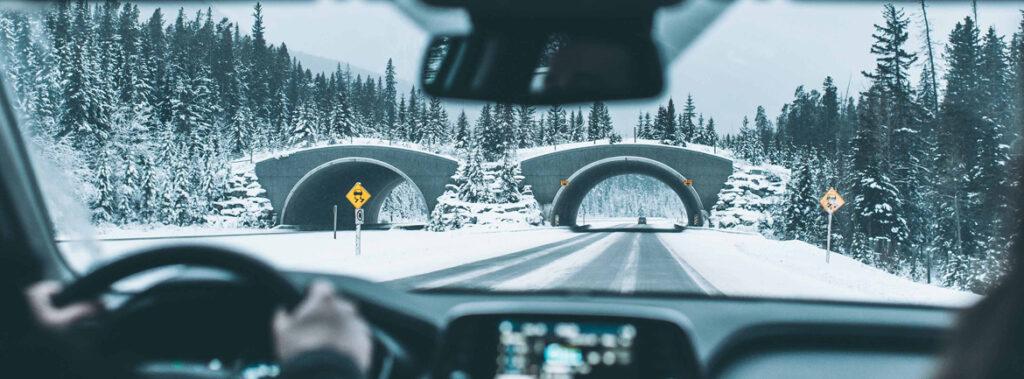 Goodyearova raziskava: zimske razmere voznike navdajajo z negotovostjo