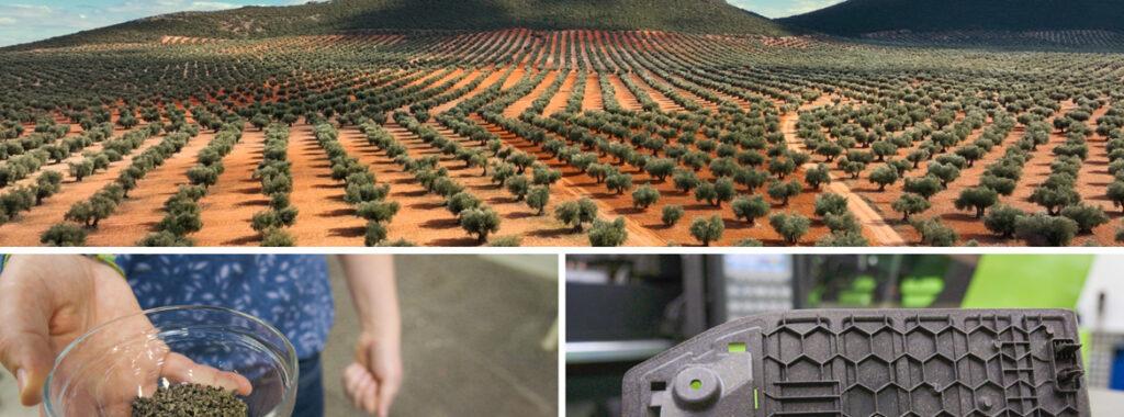 Deli vašega prihodnjega avtomobila bi lahko bili izdelani iz oljk